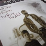 パーフェクト ワールド